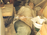 بالفيديو: للمرة الثالثة - الشرطة تقتحم منزل الحاج مصطفى كريم بمدينة يافا وتعتدي عليه 